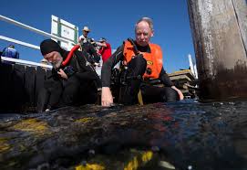 Image result for Clifton Bsac