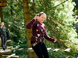 Image result for Go Ape! Thetford