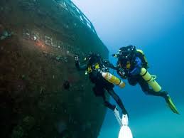 Image result for Headstream Divers