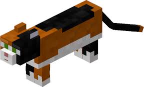 Image result for Winslow Town Cc