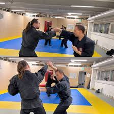Image result for Bujinkan Cambridge Dojo