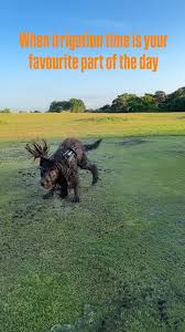 Image result for Browston Hall Country Club