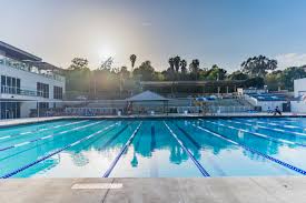 Image result for Mole Valley Sub Aqua Club
