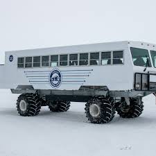 Image result for tundra buggy
