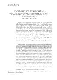 Attēlu rezultāti vaicājumam “Campylophyllum calcareum sporophyte”