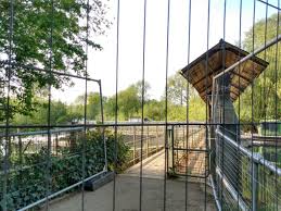 Image result for Abingdon Fencing Club, Oxfordshire