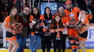 Image result for Sheffield Steelers