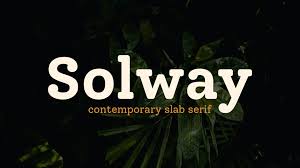 Image result for Solway