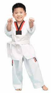 Image result for Championship Martial Arts Winter Springs