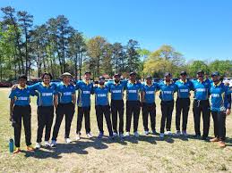 Image result for Thriplow Cricket Club