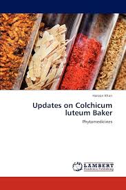 Attēlu rezultāti vaicājumam “Colchicum luteum”