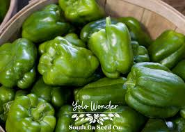 Afbeeldingsresultaat voor yolo wonder sweet pepper