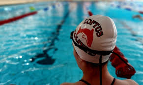 Image result for Loftus Dolphins Swimming Club