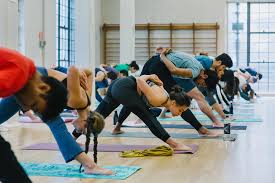 Image result for Yoga Classes