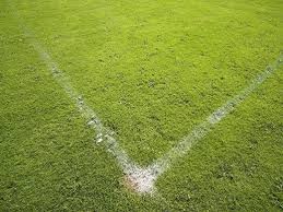 Image result for Walshaw Sports Club