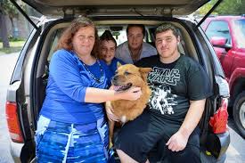 Image result for Unsworth Cc