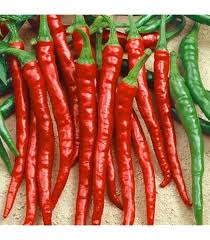 Afbeeldingsresultaat voor joe long cayenne hot pepper