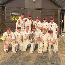 Image result for Sibton Park Cricket Club