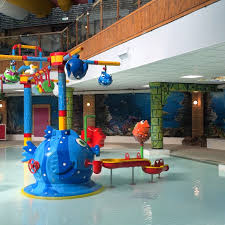 Image result for Borough Of Barnsley Swimming Club