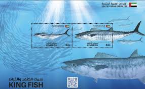 Image result for Scomberomorus cavalla