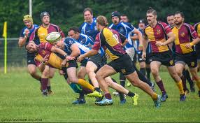Image result for Bingham Rugby Union Football Club
