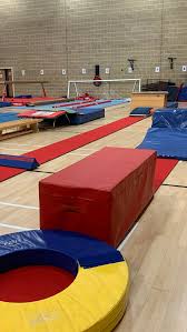 Image result for Flyin Scots Aerobic Gymnastics Club