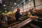 Ecuador Risks Trade Problems With U.S. if It Grants Asylum to ...