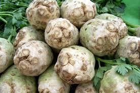 Image result for Sellerie