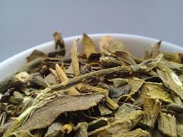 Attēlu rezultāti vaicājumam “Viscum album leaf”