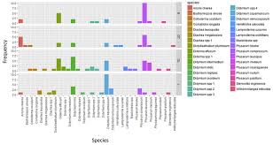 Attēlu rezultāti vaicājumam “Badhamiopsis sp.”