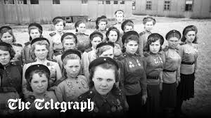 Attēlu rezultāti vaicājumam “Lycogala asperum young”