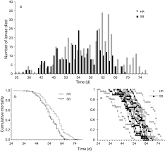 Image result for Microgadus tomcod