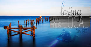 Image result for Ilfracombe Orcas Octopush Club