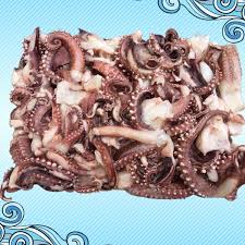 Image result for Dosidicus gigas