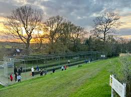Image result for Forest Green Cricket Club