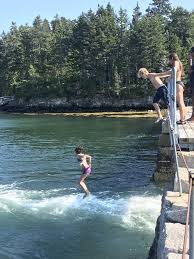 Image result for Portway Swimming Club