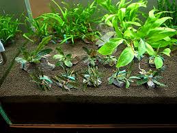 Image result for 201205.html#201205031