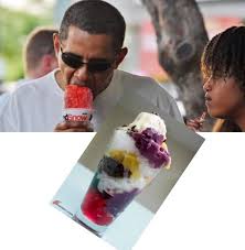 Výsledek obrázku pro obama halo