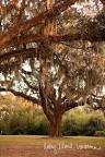 A visit to Avery Island and the McIlhenny Company | MattBites.