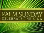Palm Sunday 2015 HD images free download | Happy New Year
