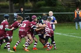 Image result for Thornhill Trojans Amateur Rugby League Football Club