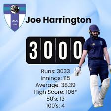 Image result for South Nutfield Cricket Club