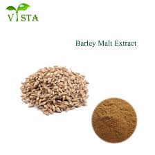 Attēlu rezultāti vaicājumam “Hordeum vulgare fruit”