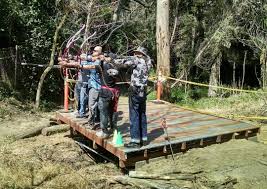 Image result for Cloth Of Gold Field Archery Club