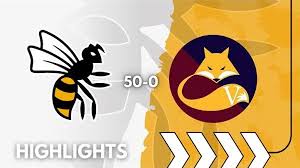 Image result for Wasps Football Club