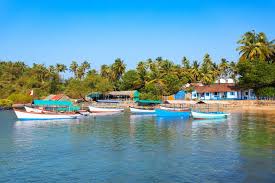 Image result for patnem beach