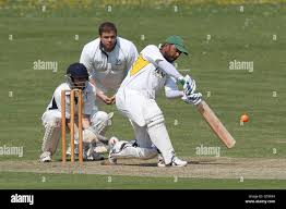 Image result for Upminster Cricket Club