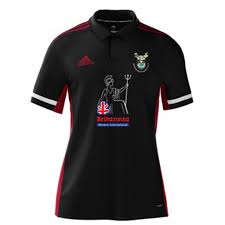 Image result for Reigate Priory Hockey Club