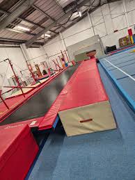 Image result for Harlequins Gymnastics Club