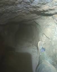 Image result for il_merda.jpg